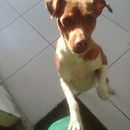 Eduardo S
