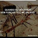 wellington Cordeiro