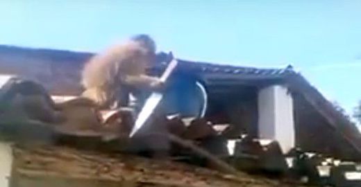 Você conhece cliente Macaco?