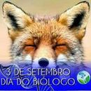 Joice Raposo