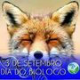 Joice Raposo